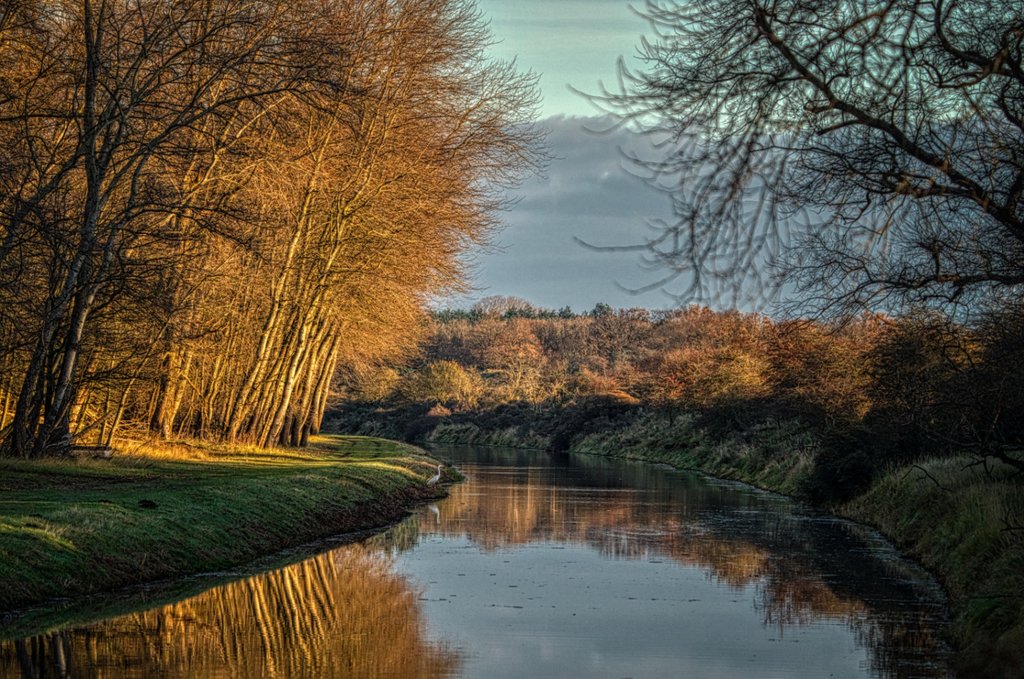 Volgens experts vind je hier de crème de la crème