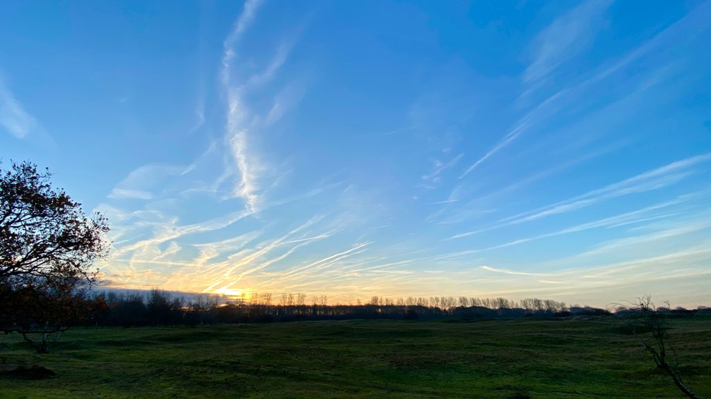 Zo mooi, het weer kon de kou, wind en vochtige ondergrond niet onderdrukken 
