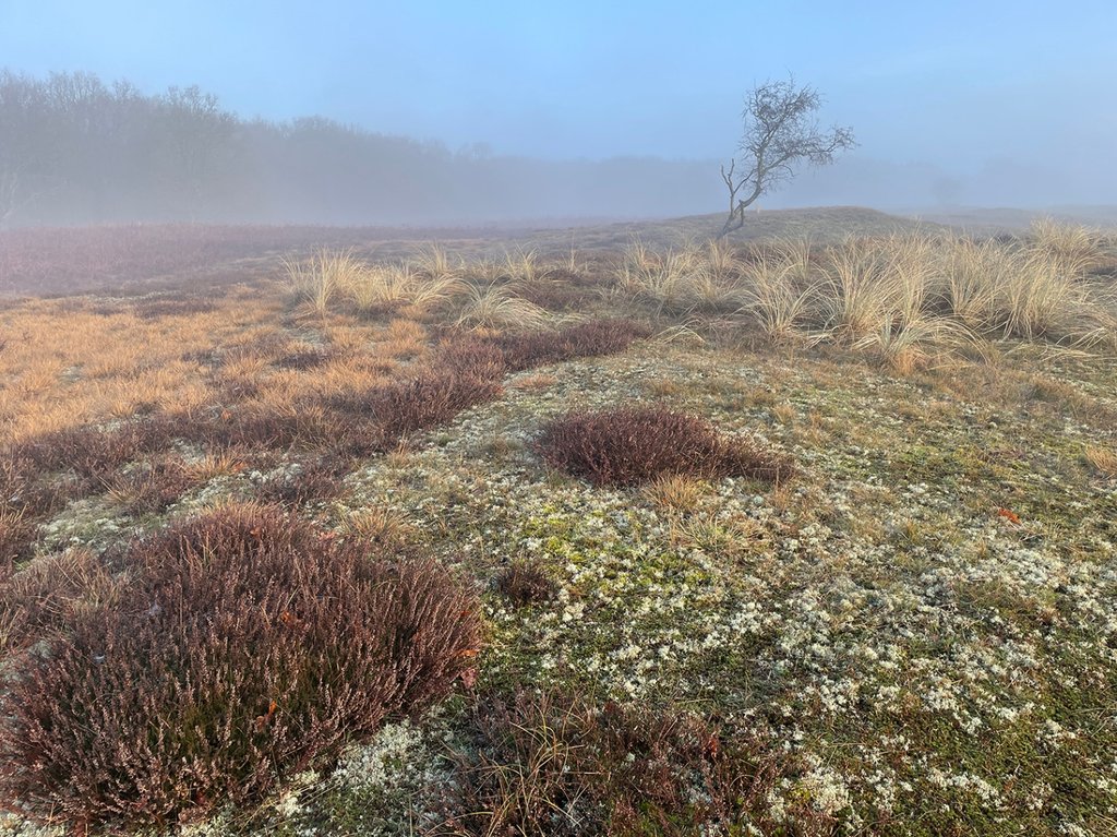 Kleurenpalet op de bodem