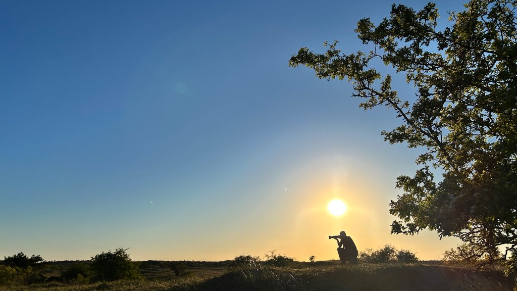 Brand geblust, zonsondergang 
