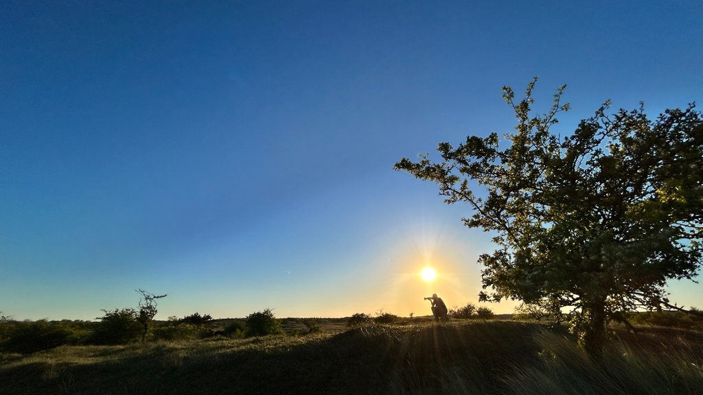 Zonsondergang 