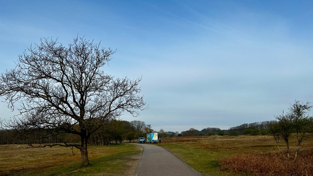 Vrijwilligers van de schone duinen